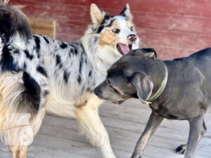 Hutamix-25-04-w14-030