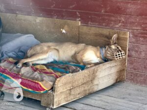 Hutamix-25-04-w14-031