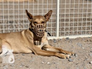 Hutamix-25-04-w14-032