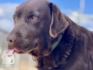 Hutamix-25-04-w14-033