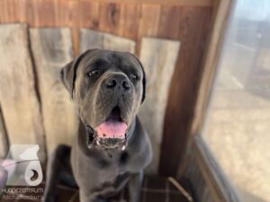 Hutamix-25-04-w14-034