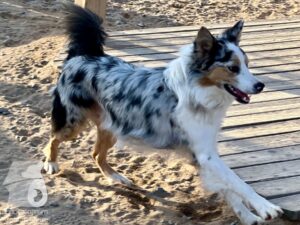 Hutamix-25-04-w14-035