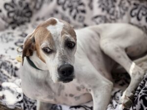 Hutamix-25-04-w14-036