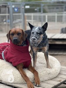 Hutamix-25-04-w14-037