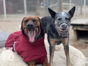 Hutamix-25-04-w14-038