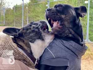 Hutamix-25-04-w14-039