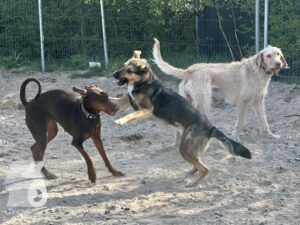 Hutamix-25-04-w14-040