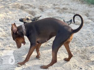 Hutamix-25-04-w14-041