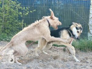 Hutamix-25-04-w14-042