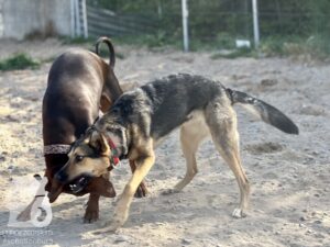 Hutamix-25-04-w14-046