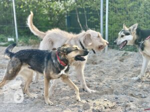 Hutamix-25-04-w14-048