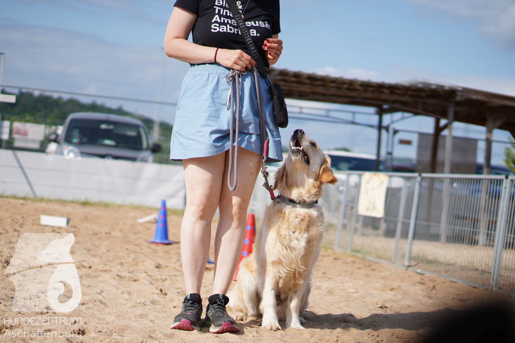Rally-Obedience-25-06-16-001