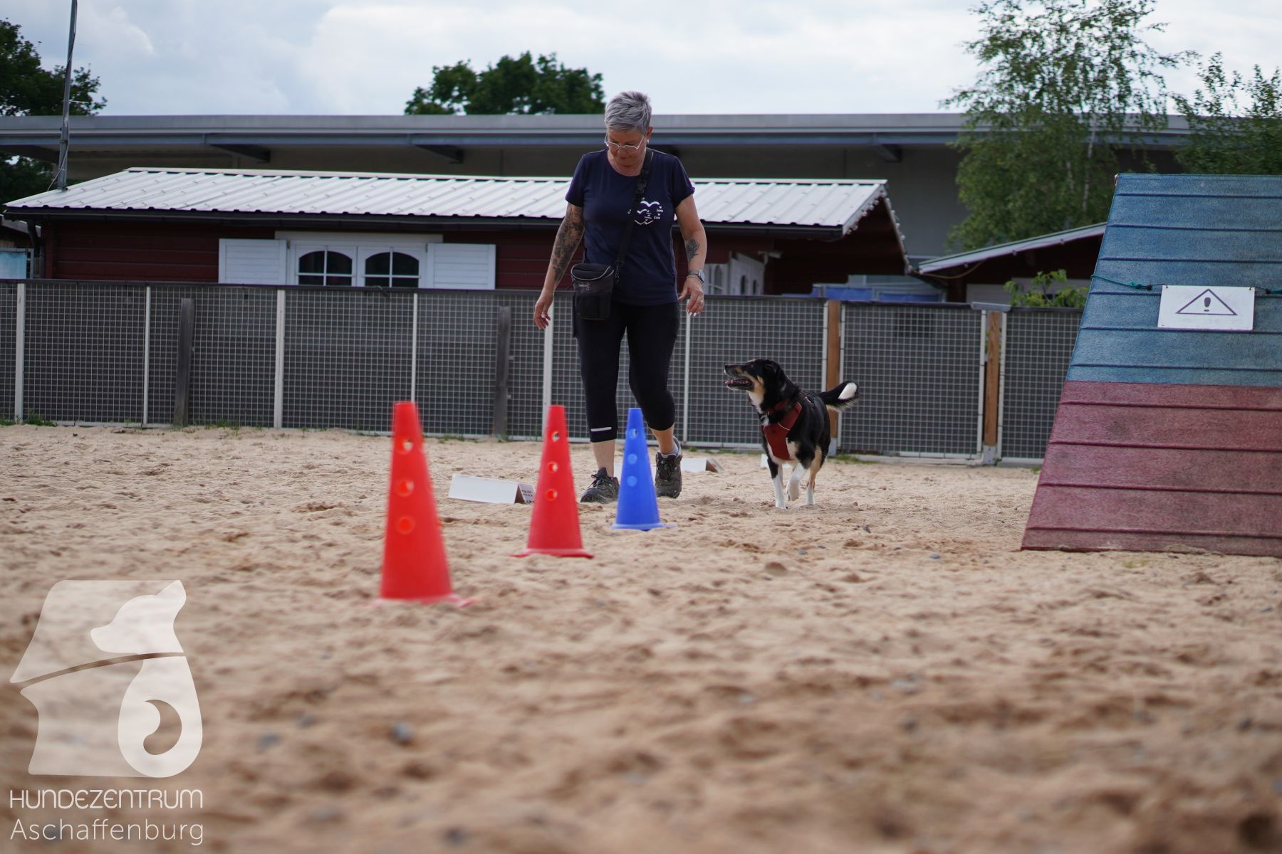 Rally-Obedience-25-06-16-002