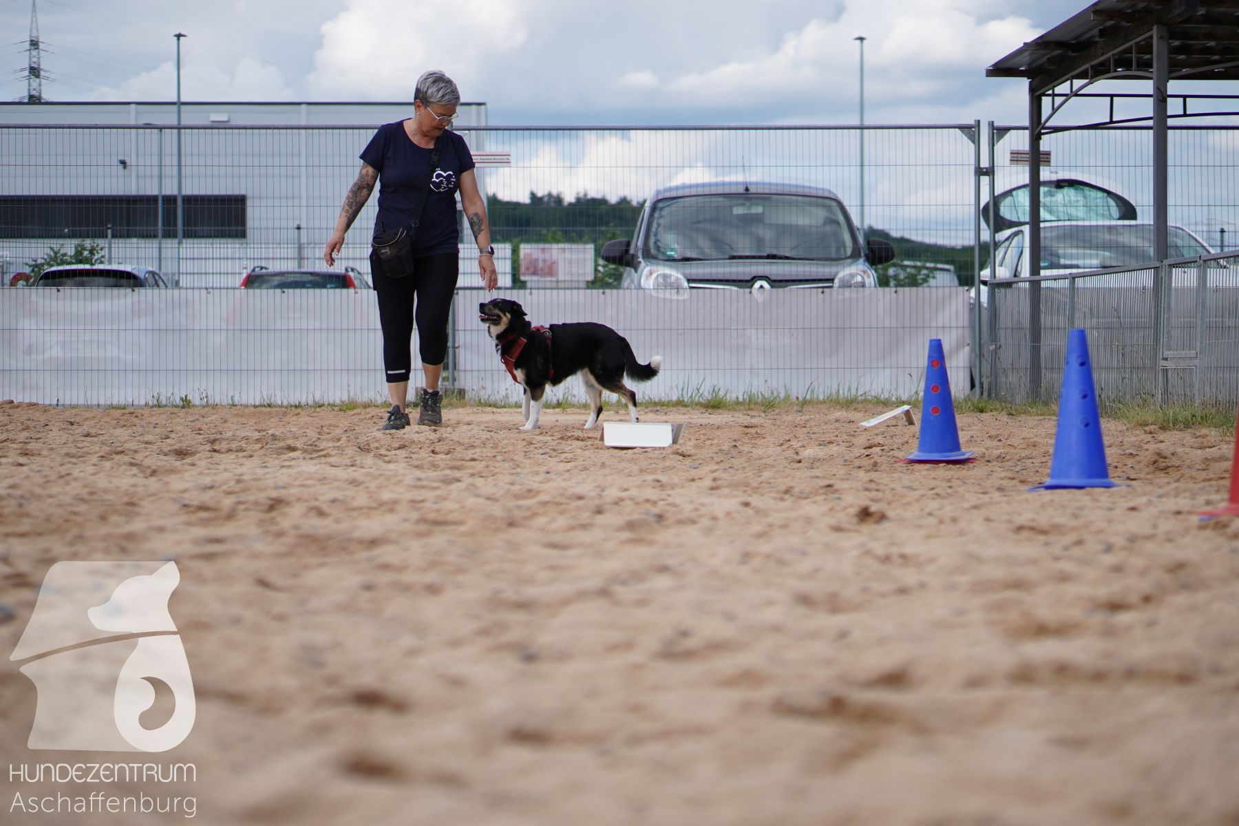 Rally-Obedience-25-06-16-003