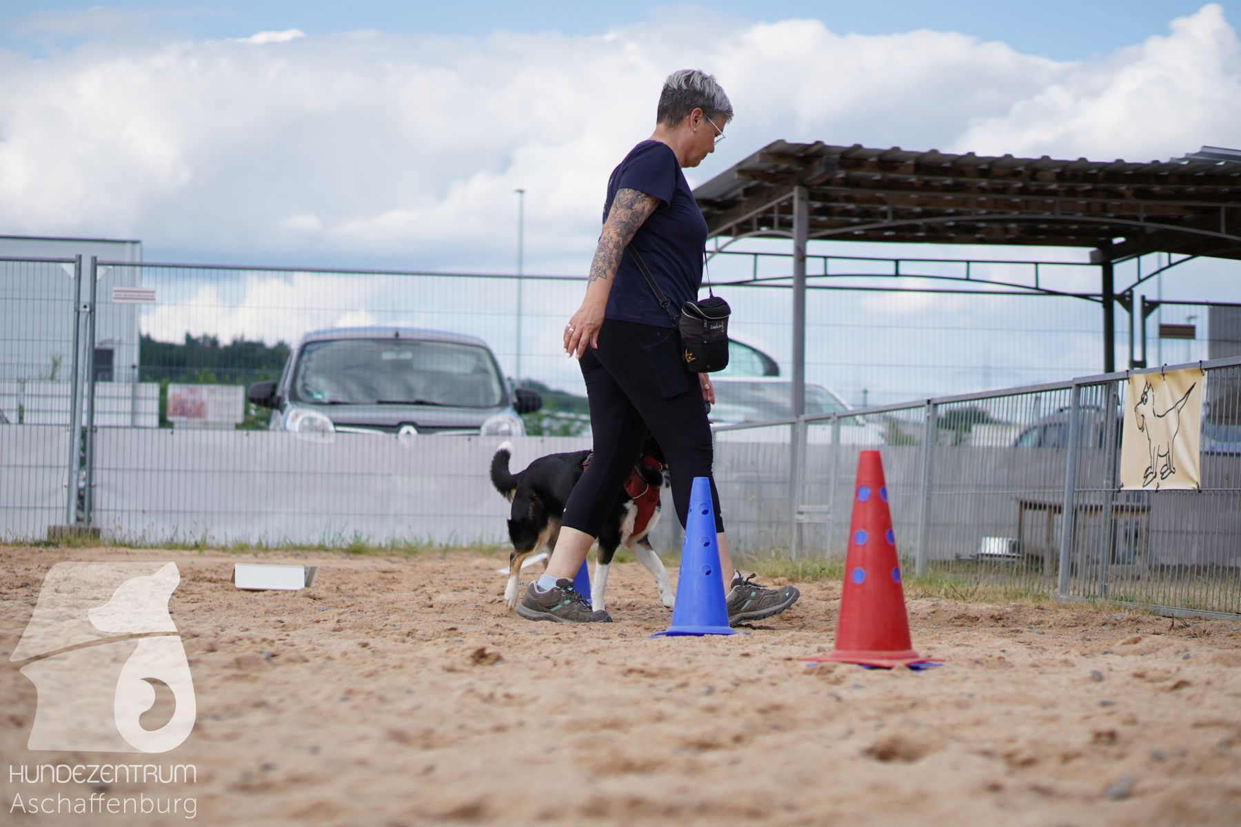 Rally-Obedience-25-06-16-005
