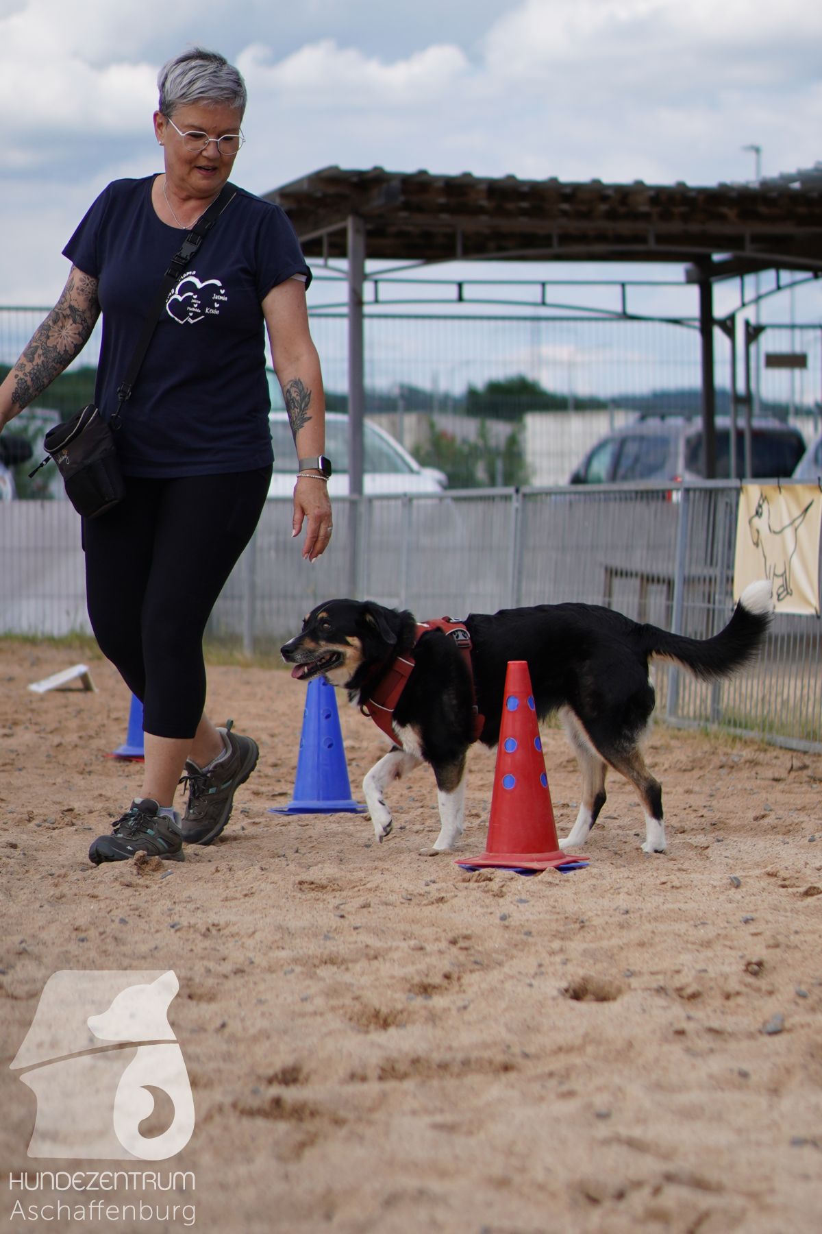 Rally-Obedience-25-06-16-006