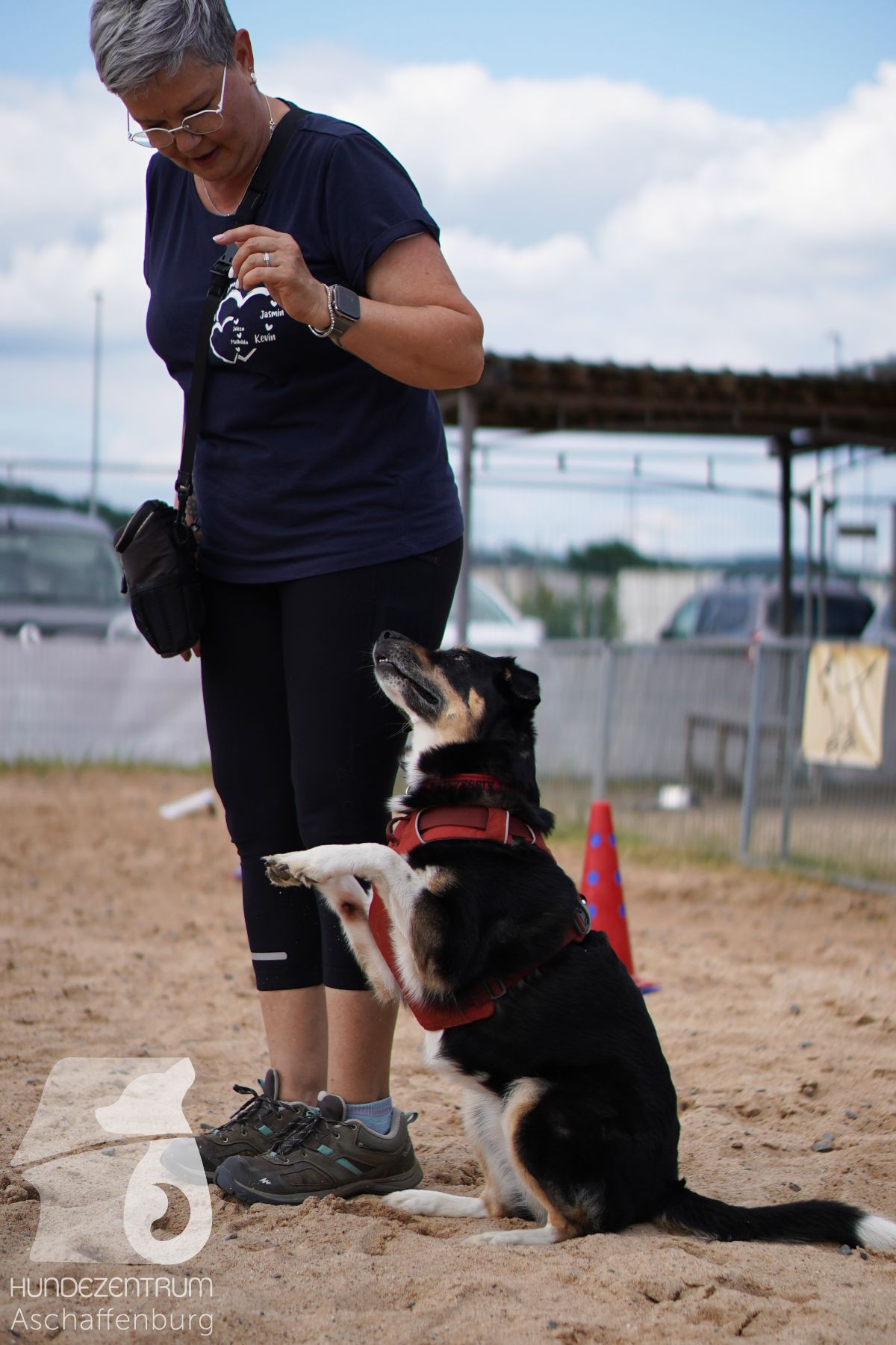 Rally-Obedience-25-06-16-007