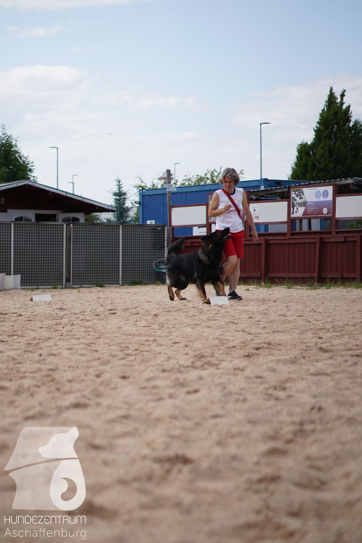 Rally-Obedience-25-06-16-008