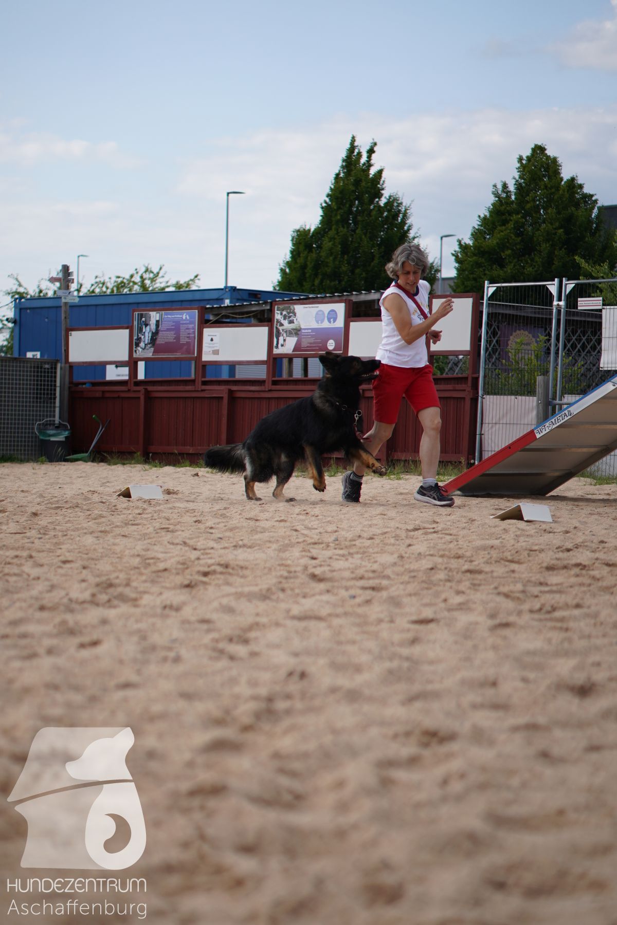 Rally-Obedience-25-06-16-009