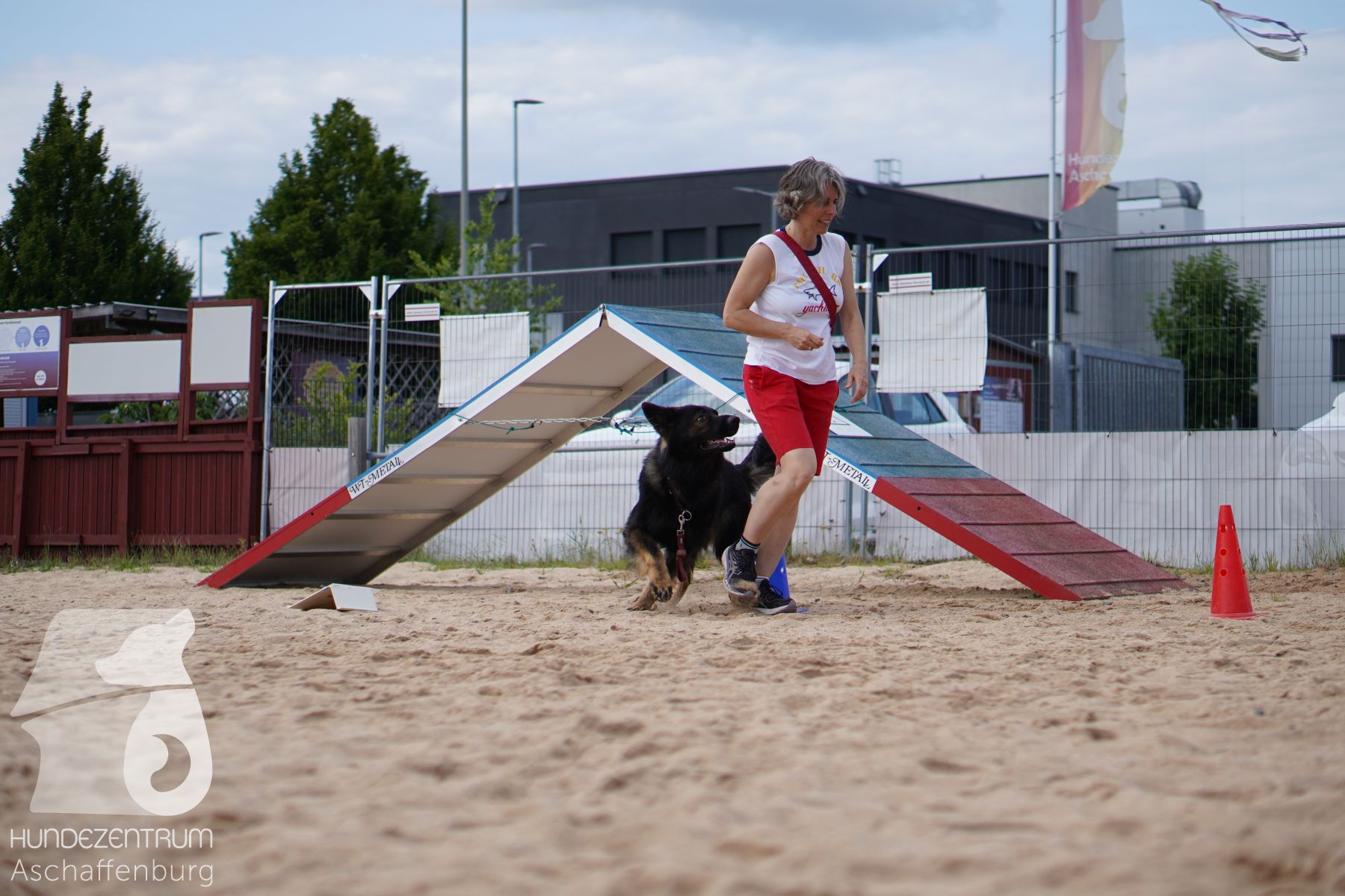 Rally-Obedience-25-06-16-010