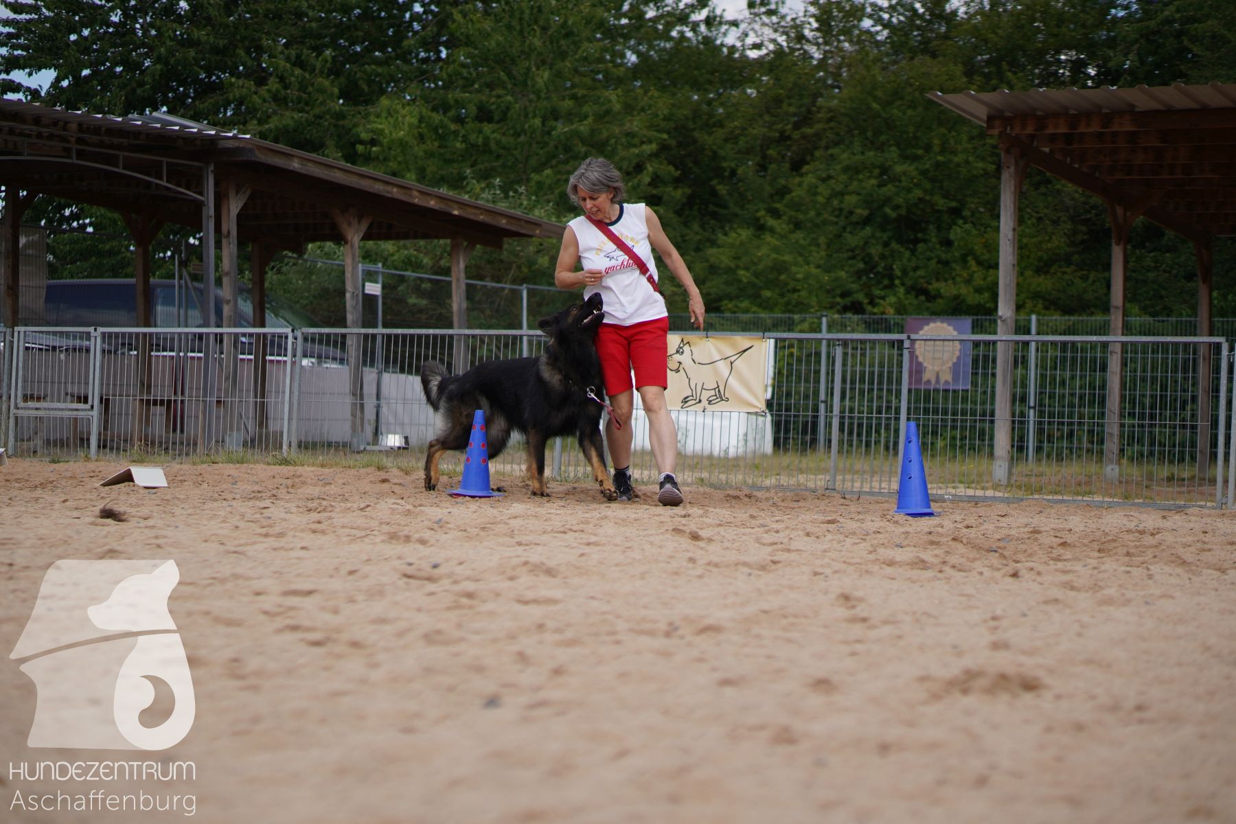 Rally-Obedience-25-06-16-011