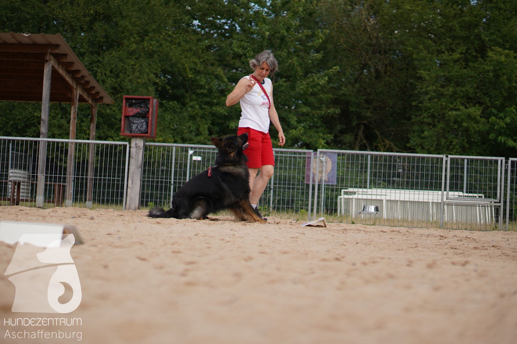Rally-Obedience-25-06-16-012