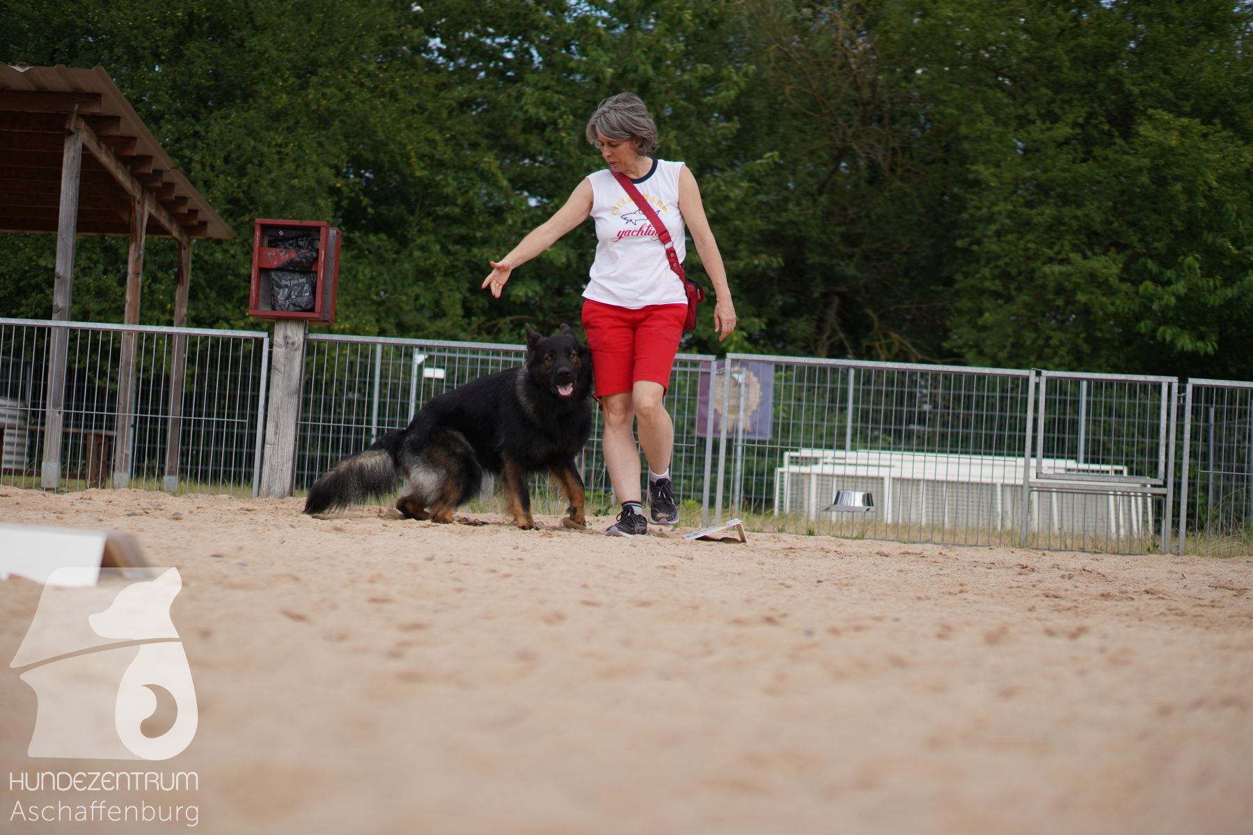 Rally-Obedience-25-06-16-013