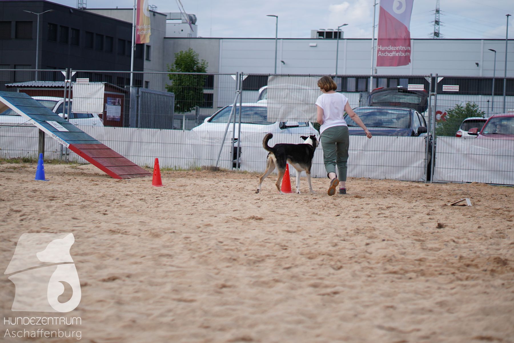 Rally-Obedience-25-06-16-014