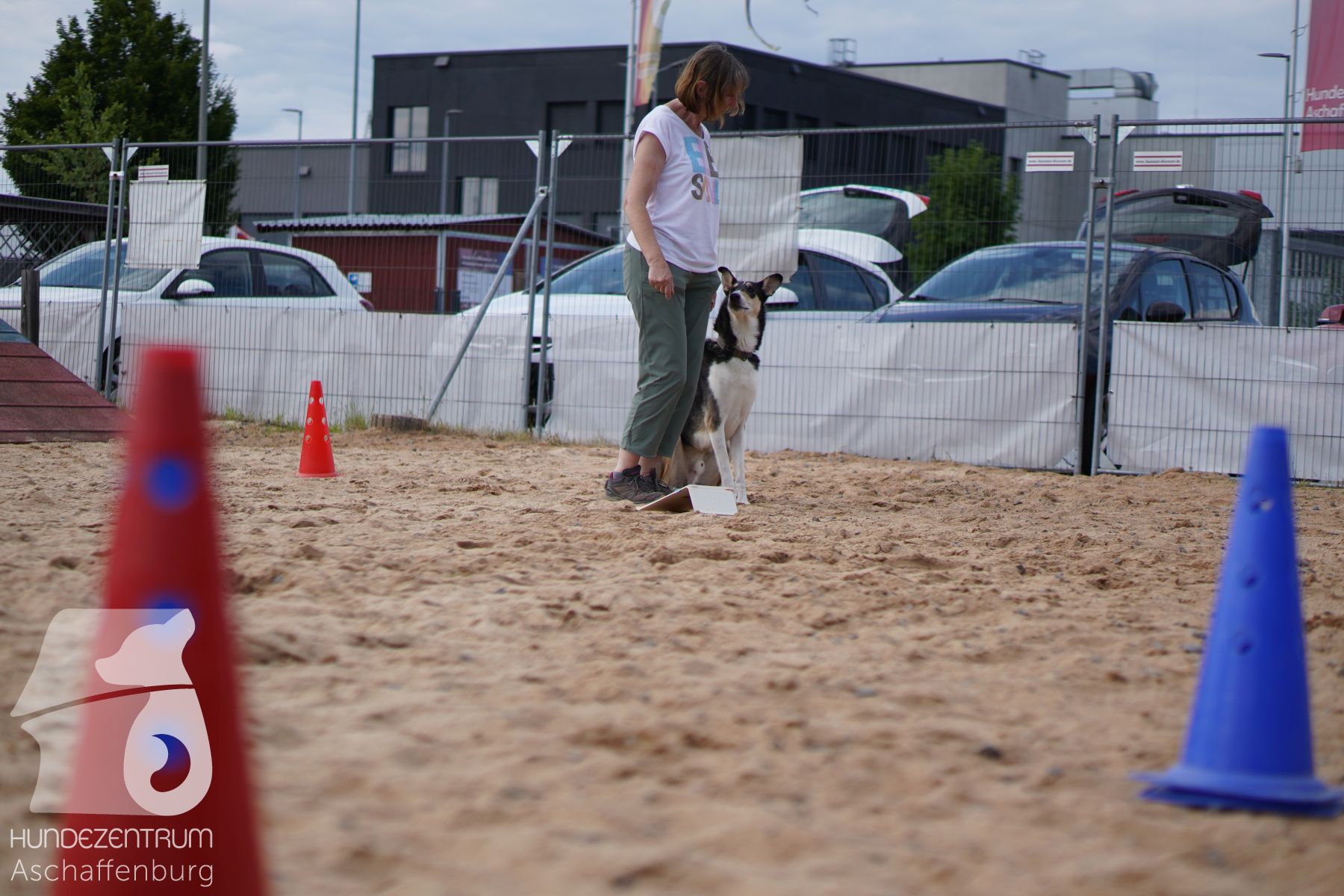 Rally-Obedience-25-06-16-016