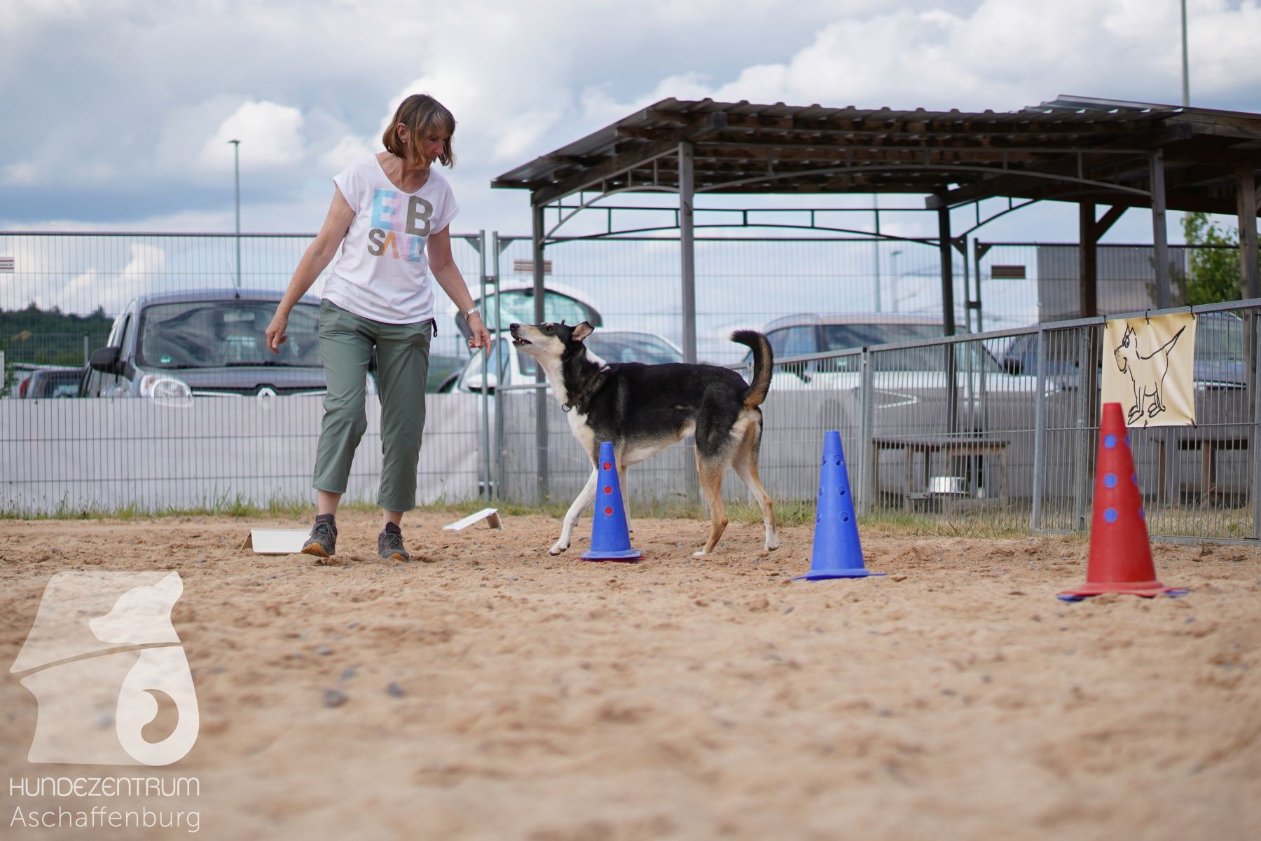 Rally-Obedience-25-06-16-017