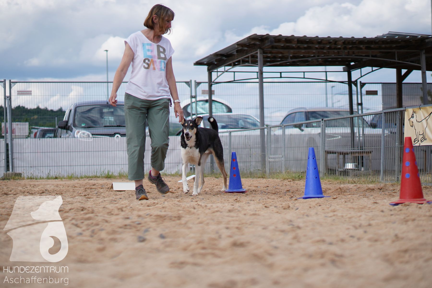 Rally-Obedience-25-06-16-018