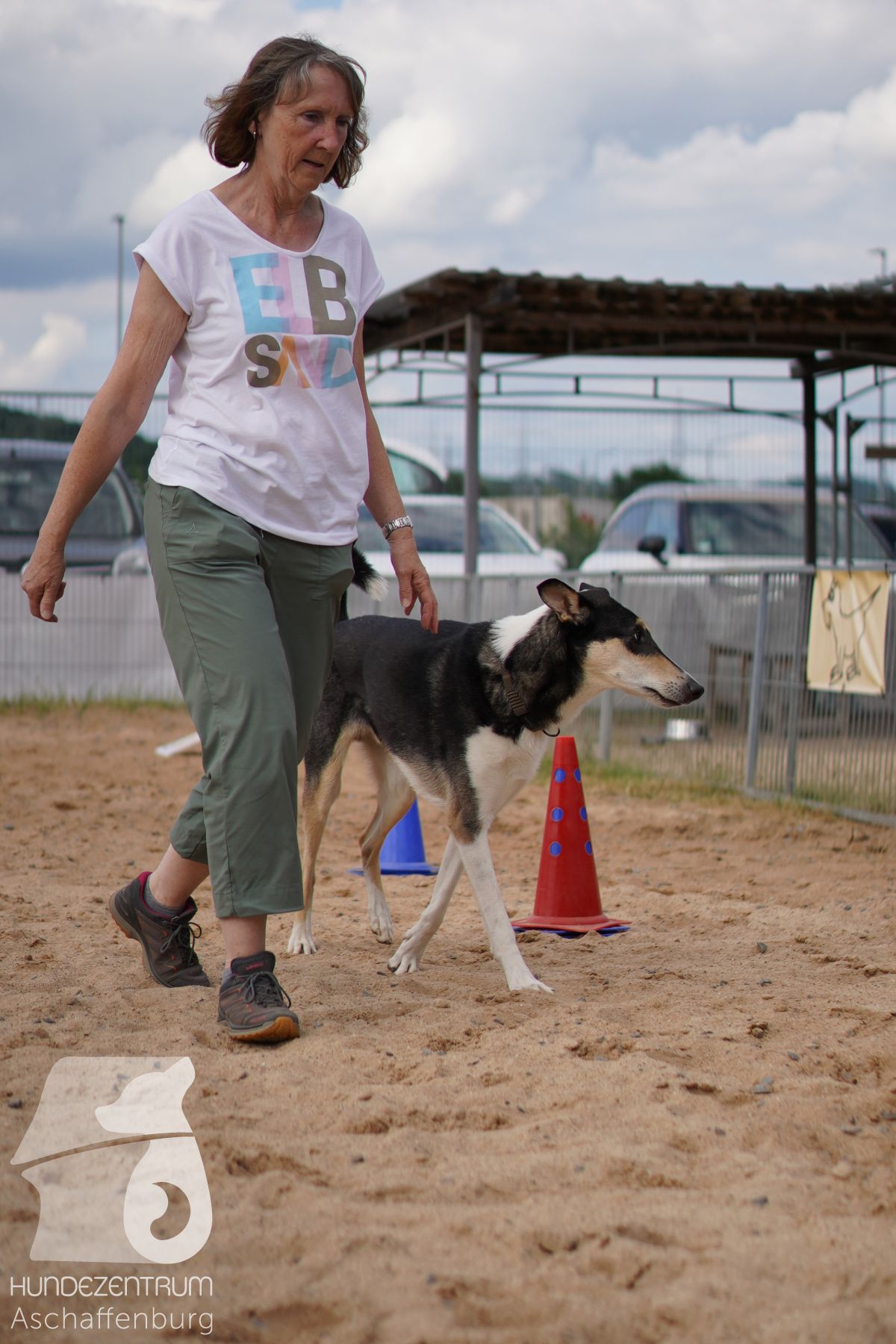 Rally-Obedience-25-06-16-019