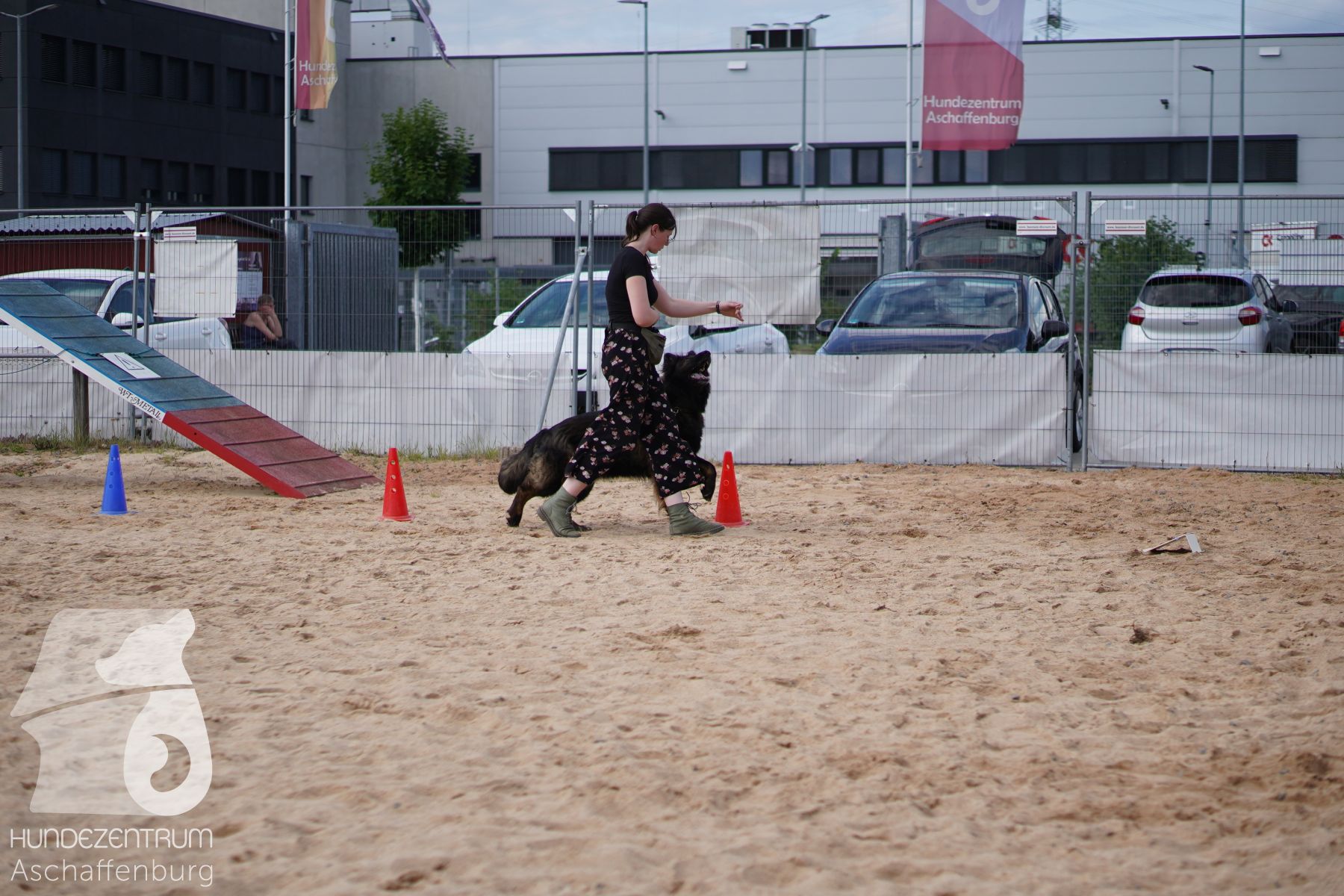 Rally-Obedience-25-06-16-021