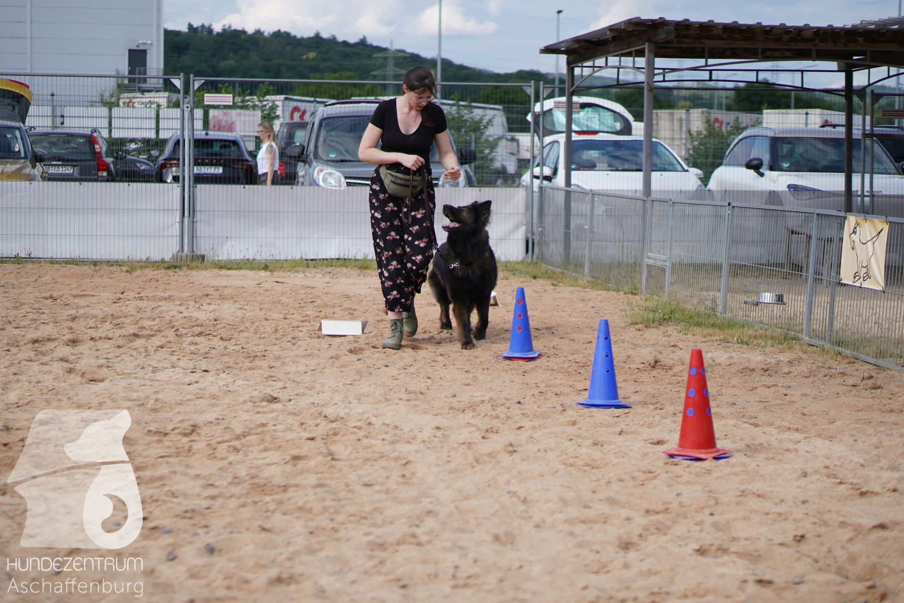 Rally-Obedience-25-06-16-022