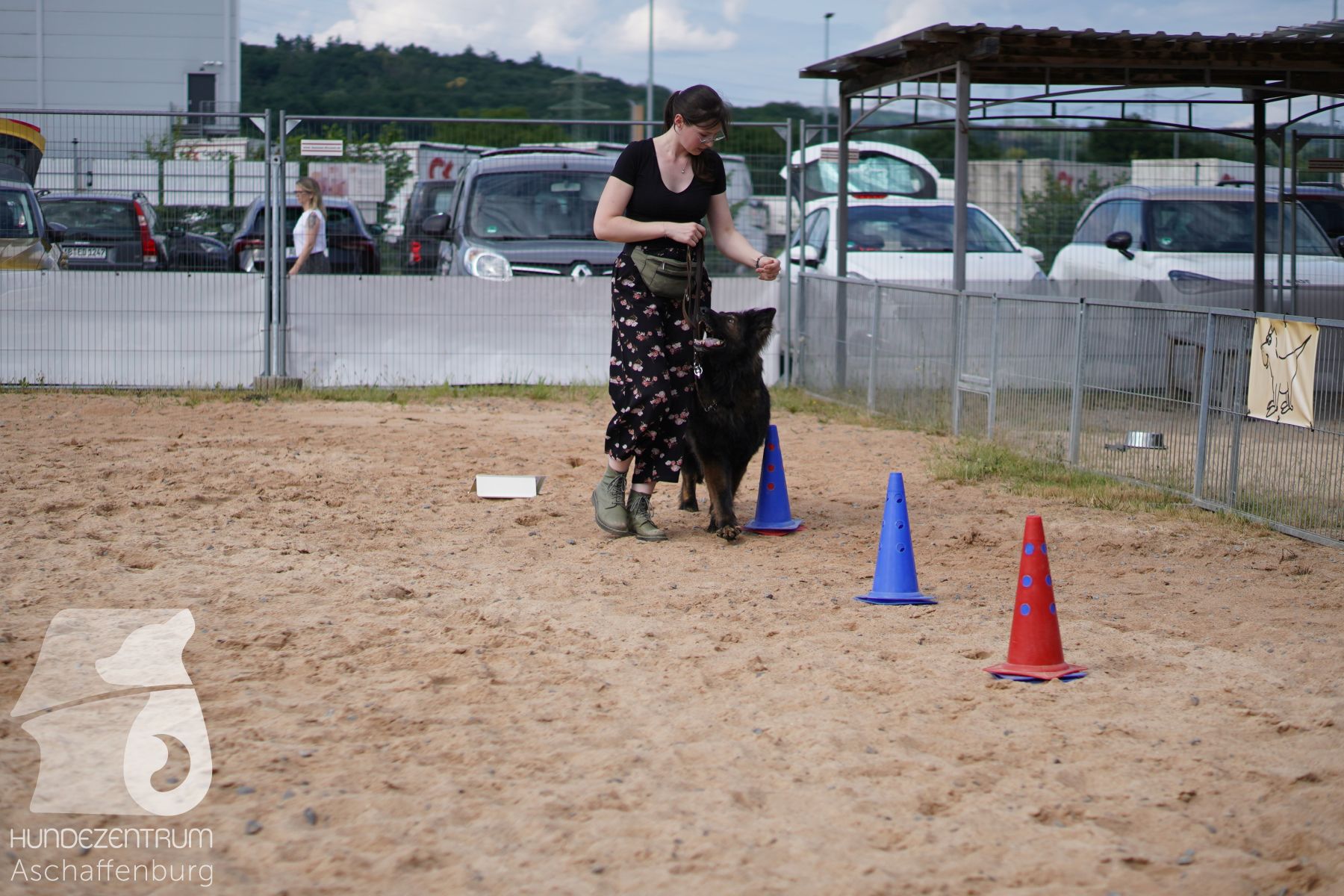Rally-Obedience-25-06-16-023
