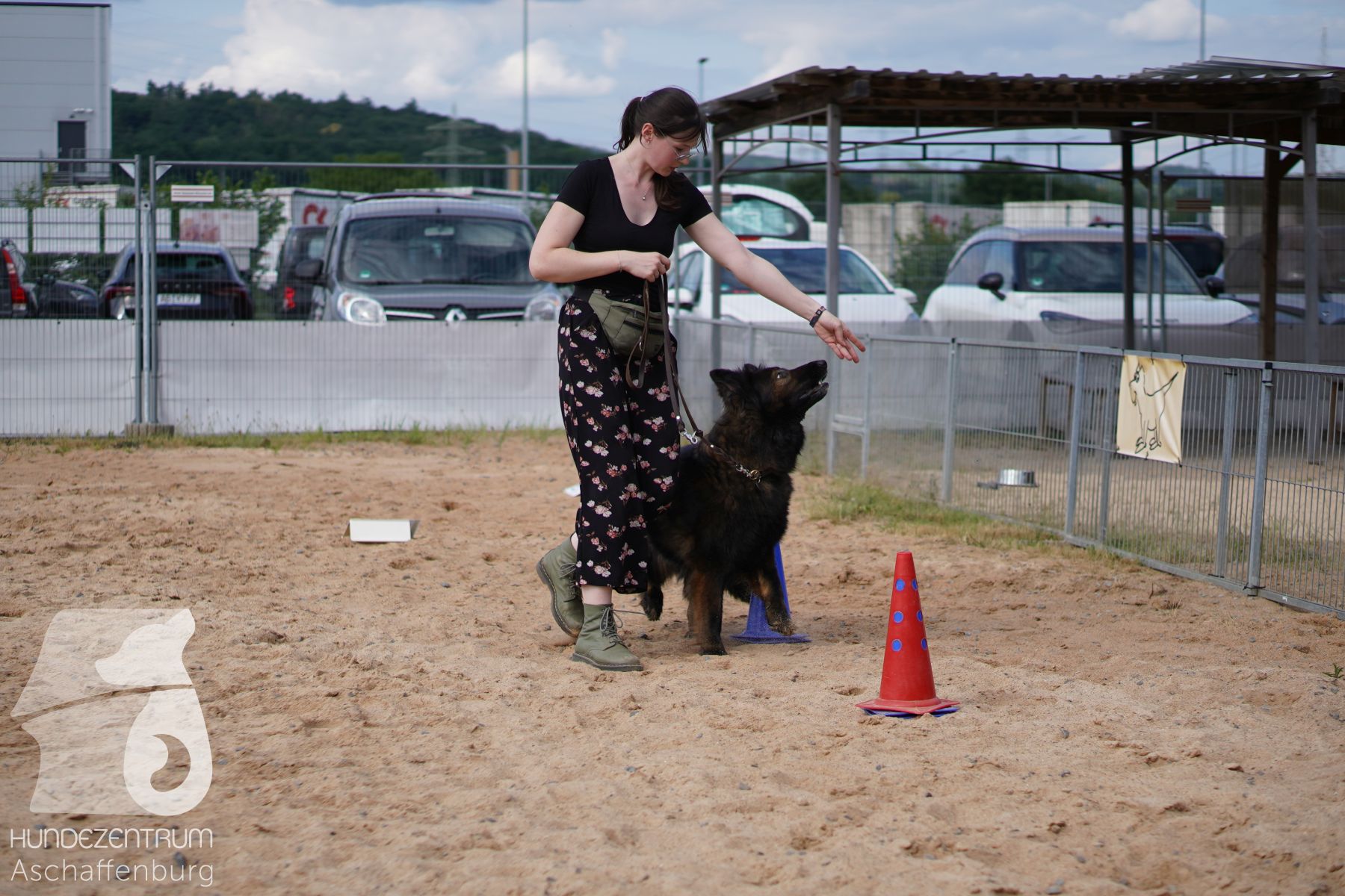 Rally-Obedience-25-06-16-024