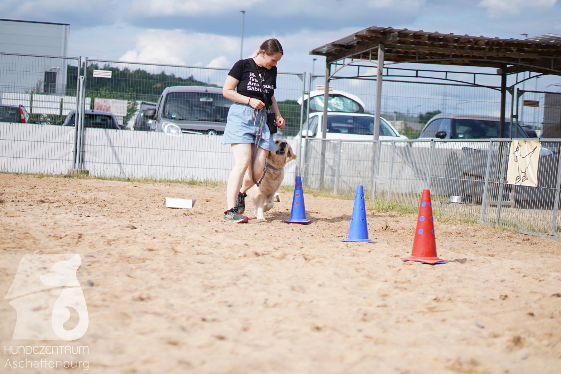Rally-Obedience-25-06-16-026
