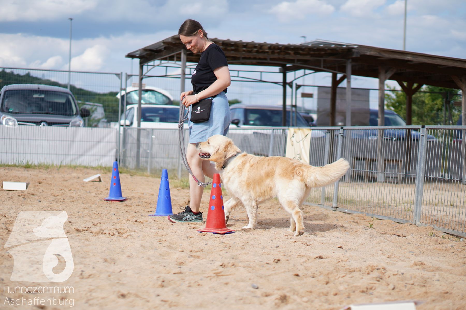 Rally-Obedience-25-06-16-027