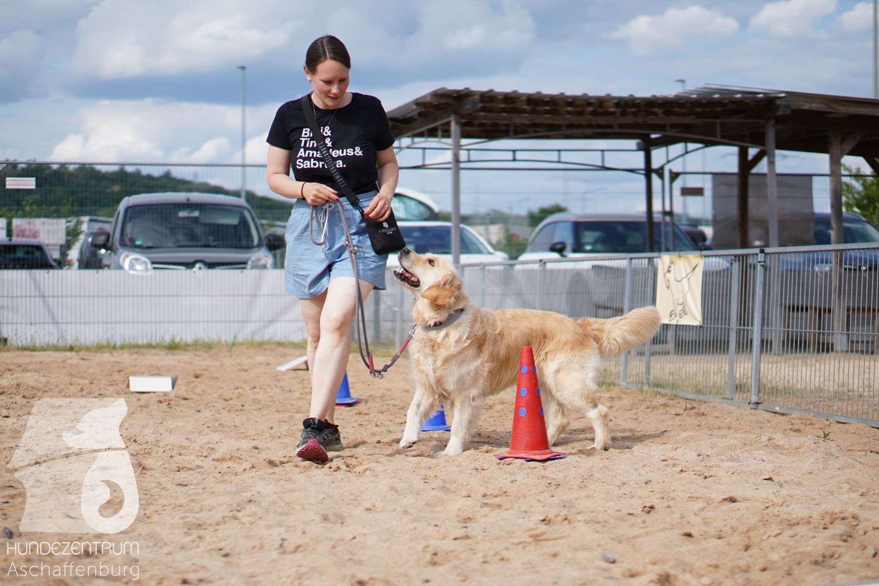 Rally-Obedience-25-06-16-028