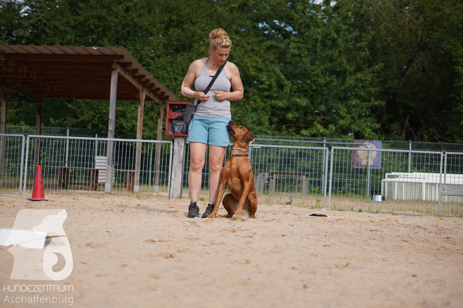 Rally-Obedience-25-06-16-030