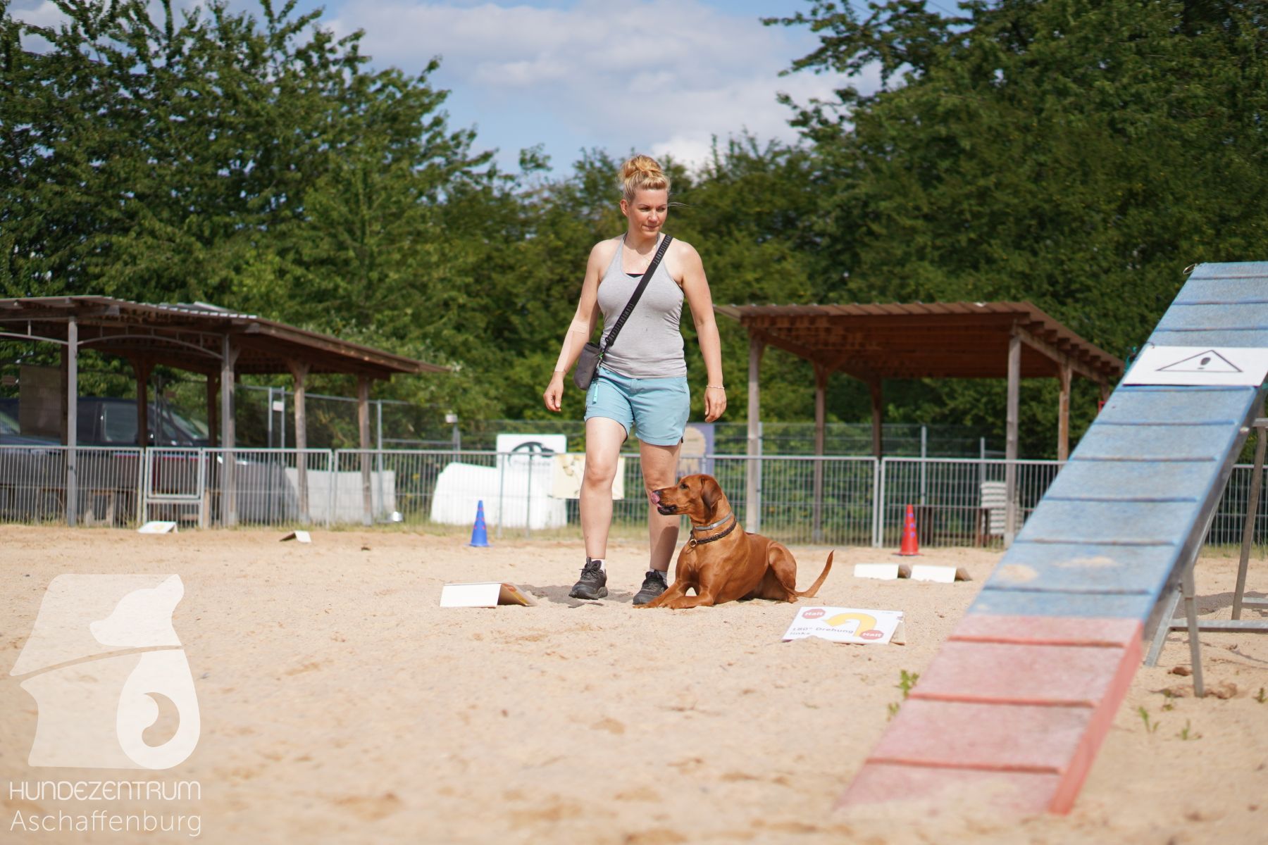 Rally-Obedience-25-06-16-031
