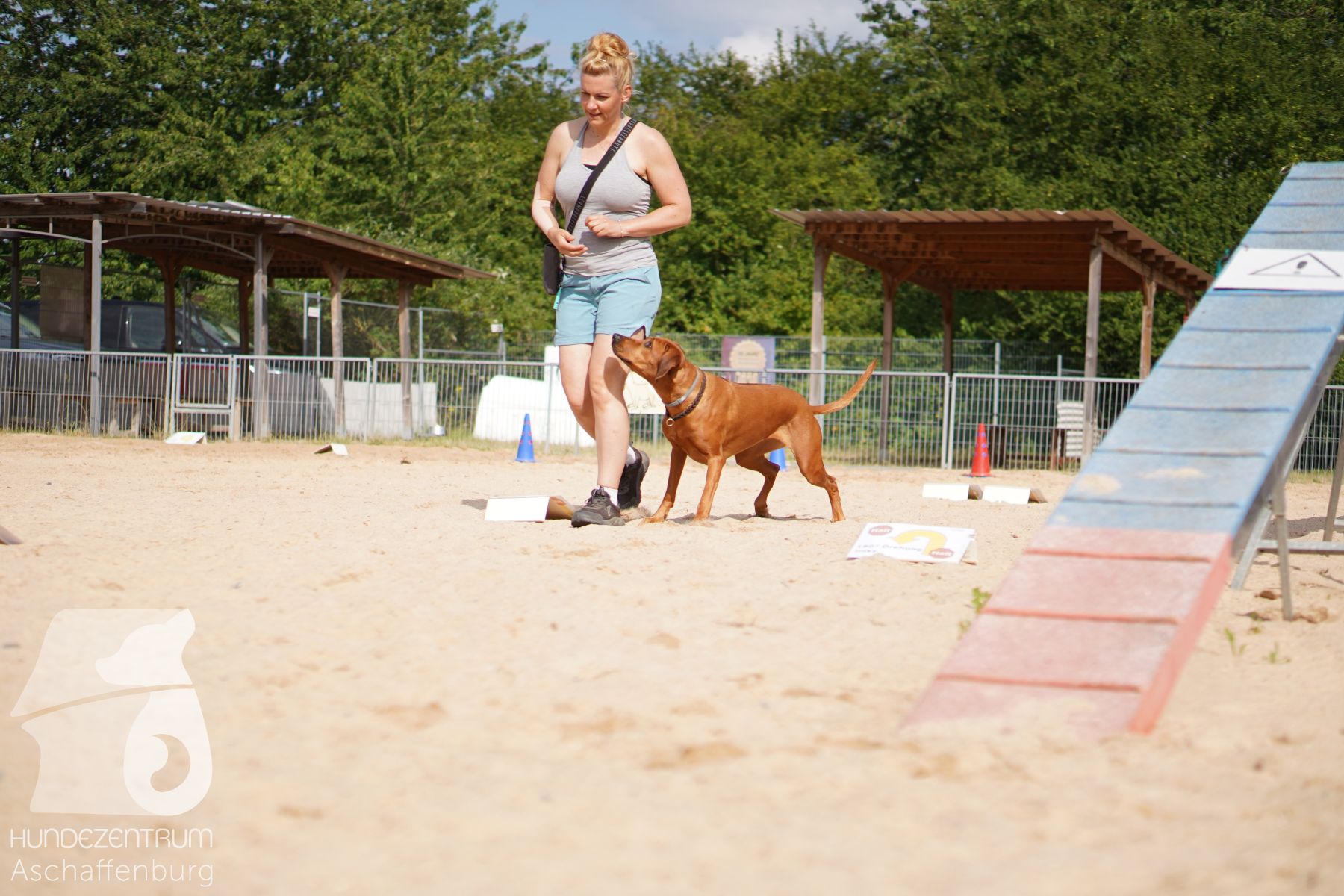 Rally-Obedience-25-06-16-033