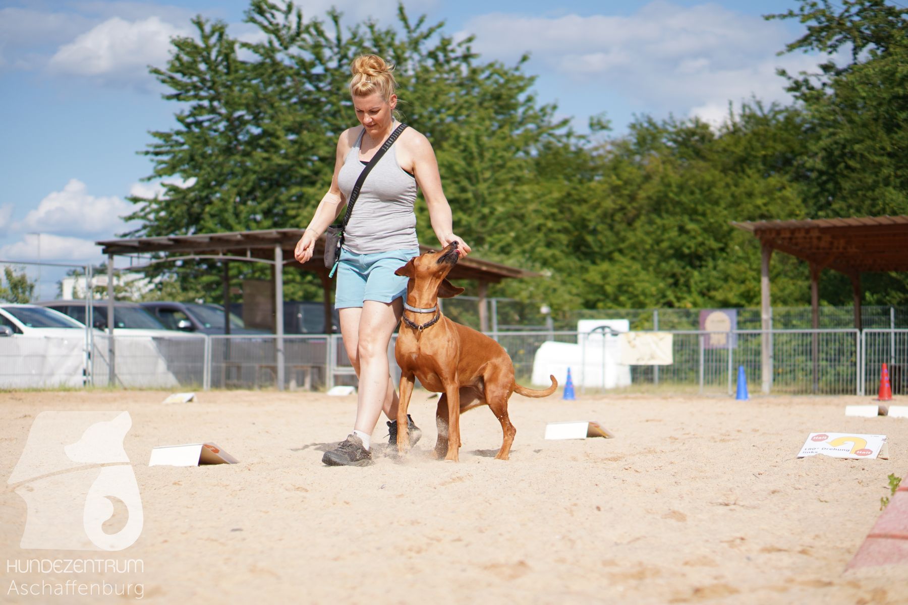 Rally-Obedience-25-06-16-034