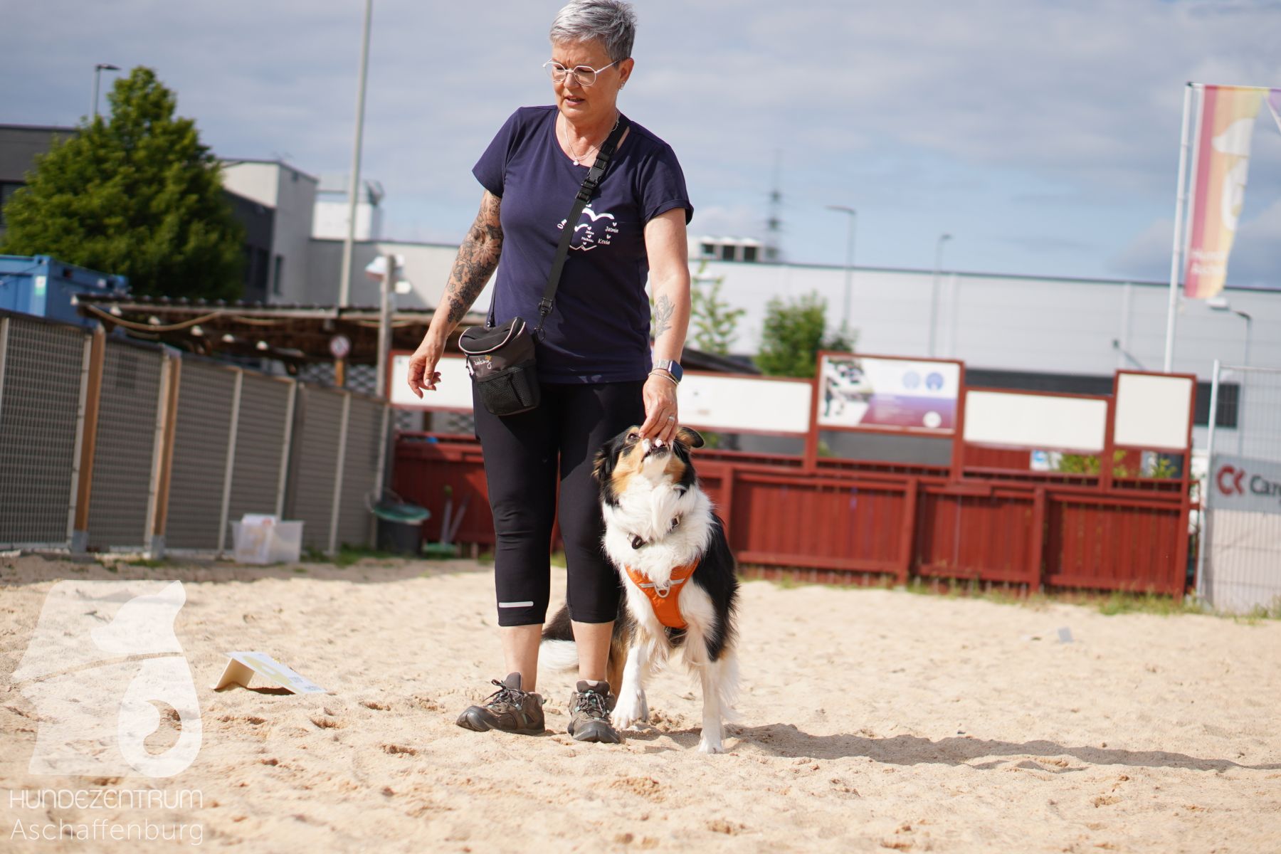 Rally-Obedience-25-06-16-035