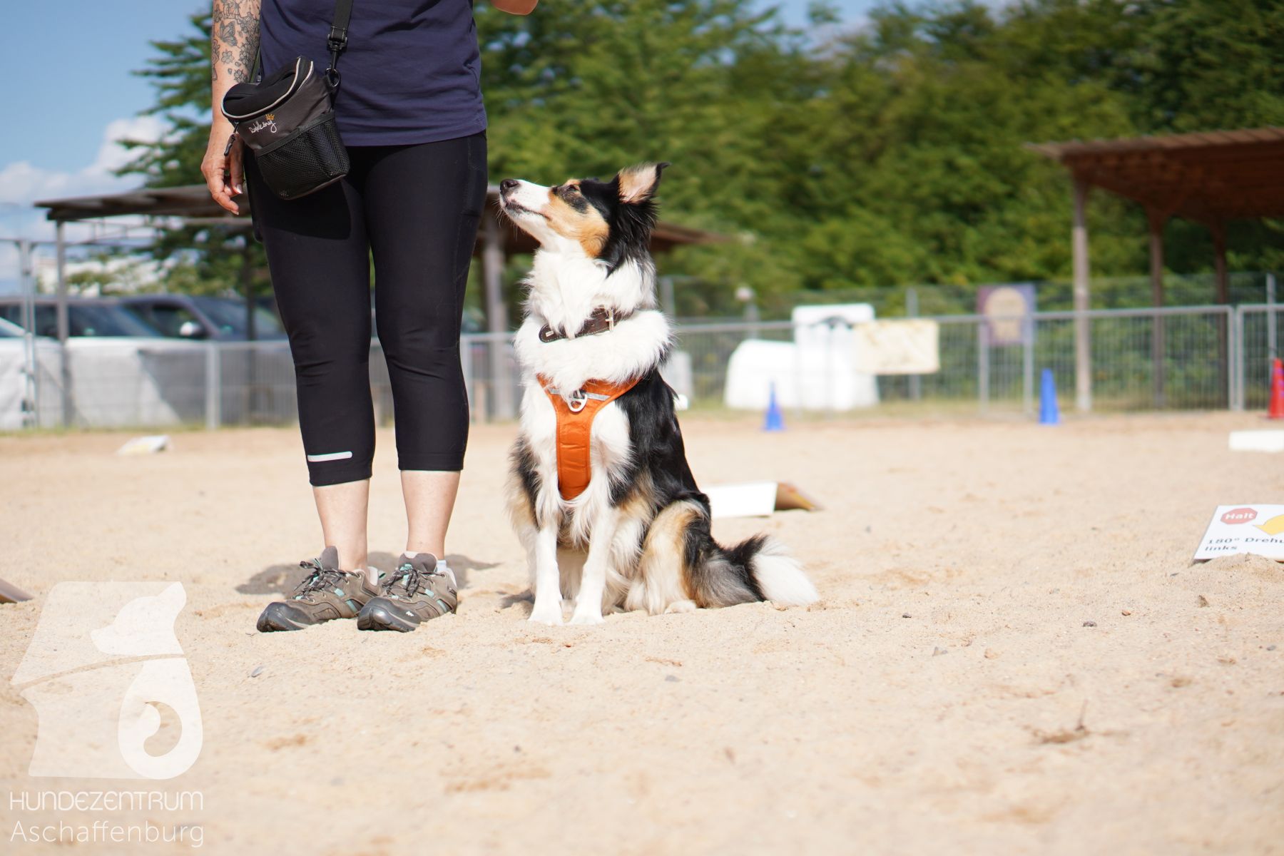 Rally-Obedience-25-06-16-037