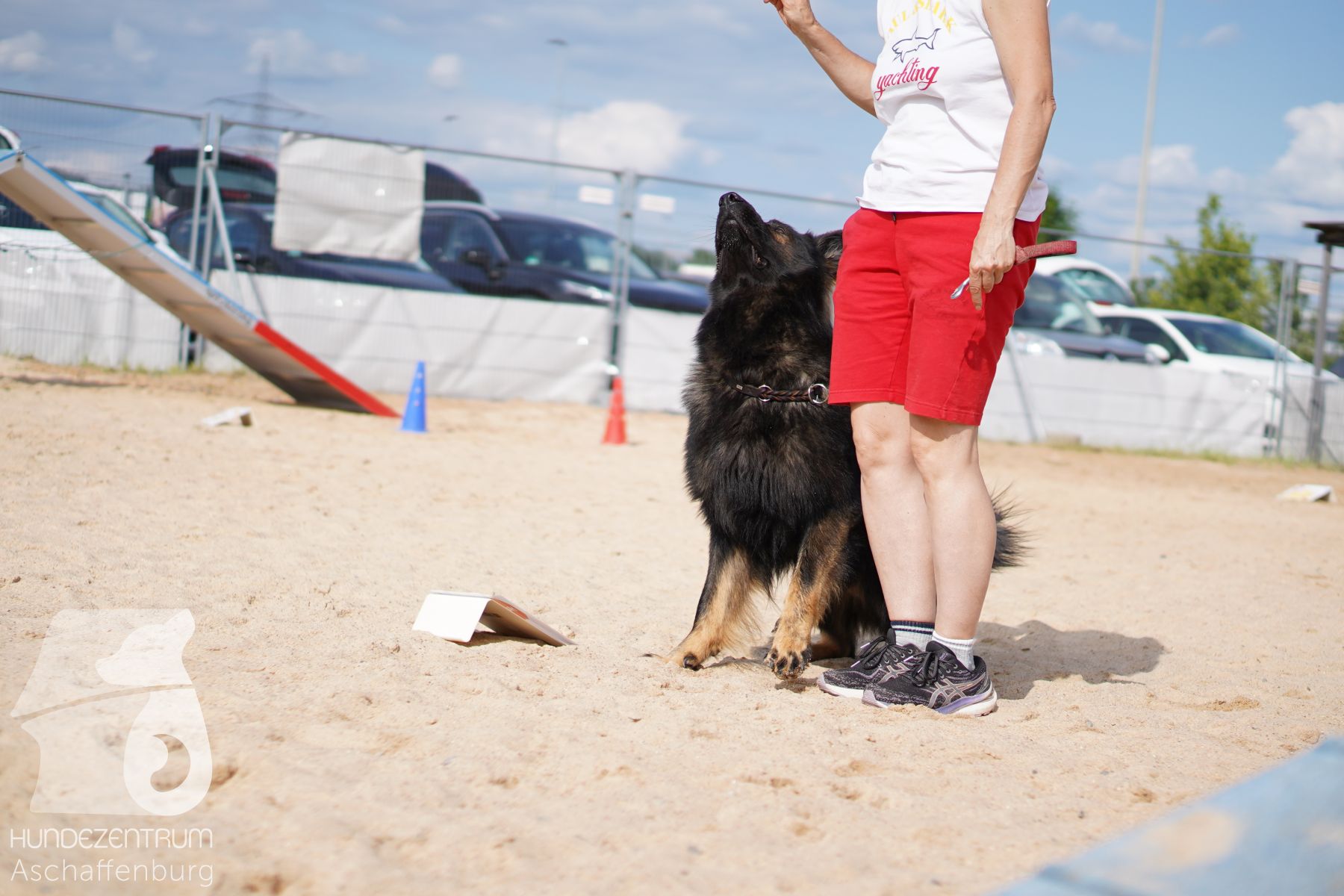 Rally-Obedience-25-06-16-038