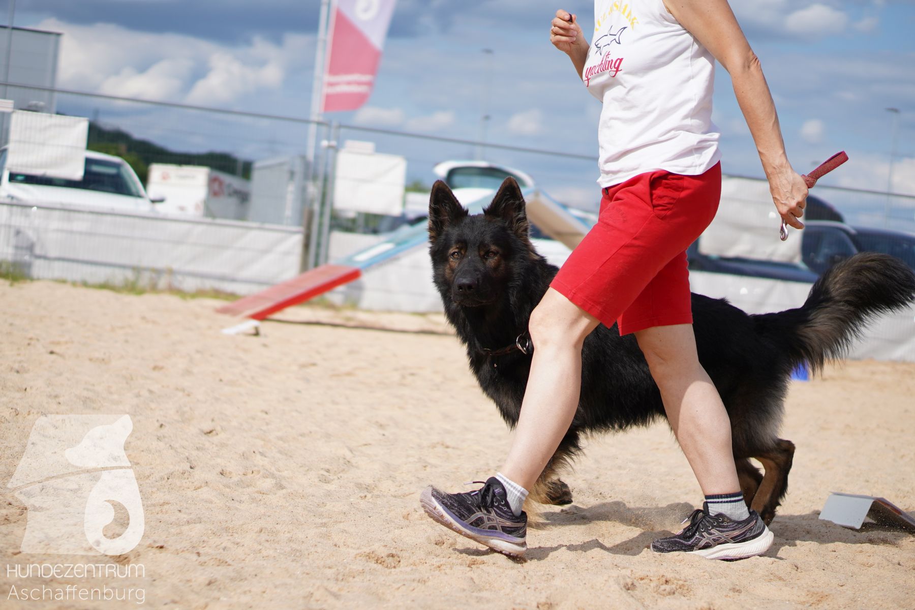 Rally-Obedience-25-06-16-039