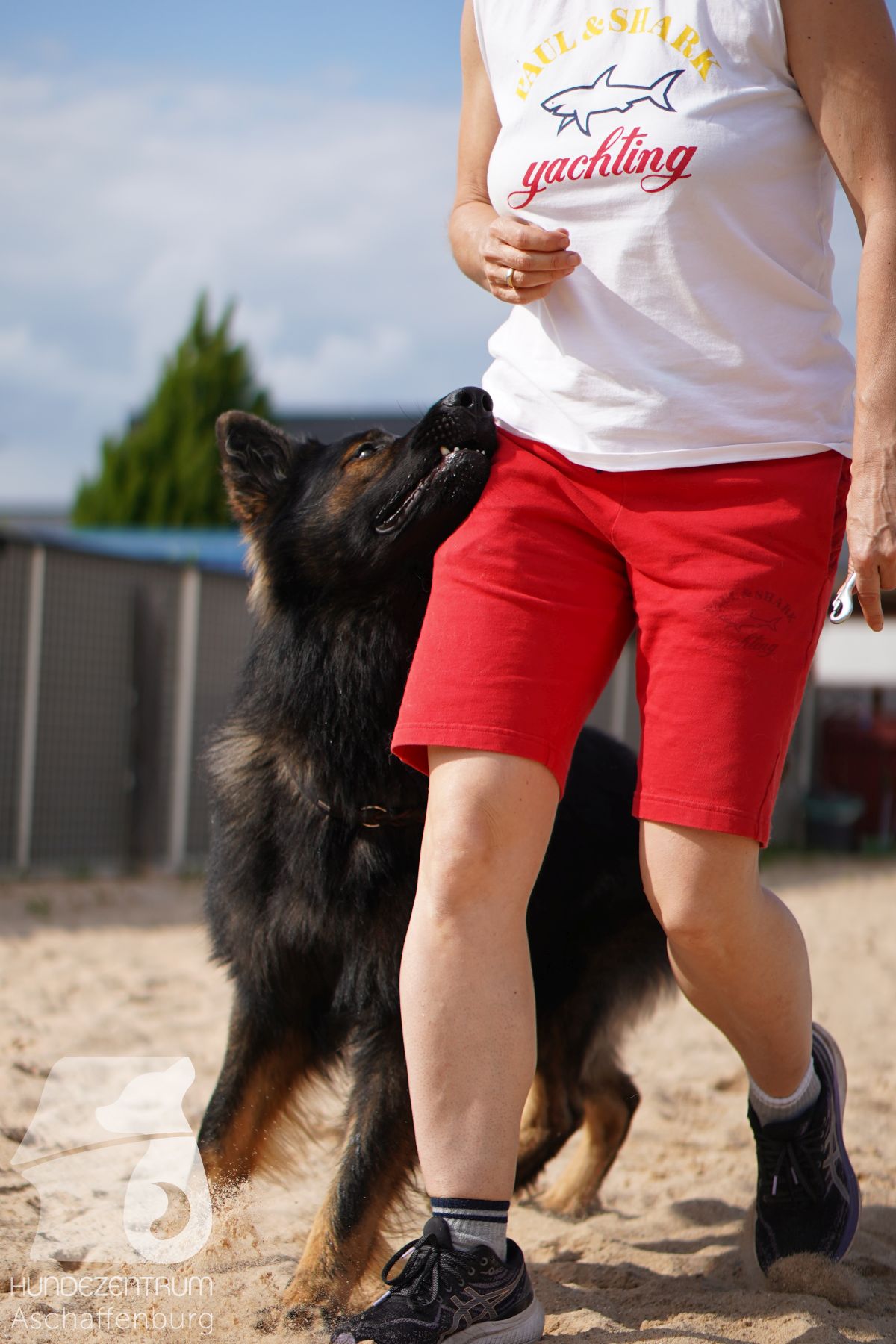 Rally-Obedience-25-06-16-040
