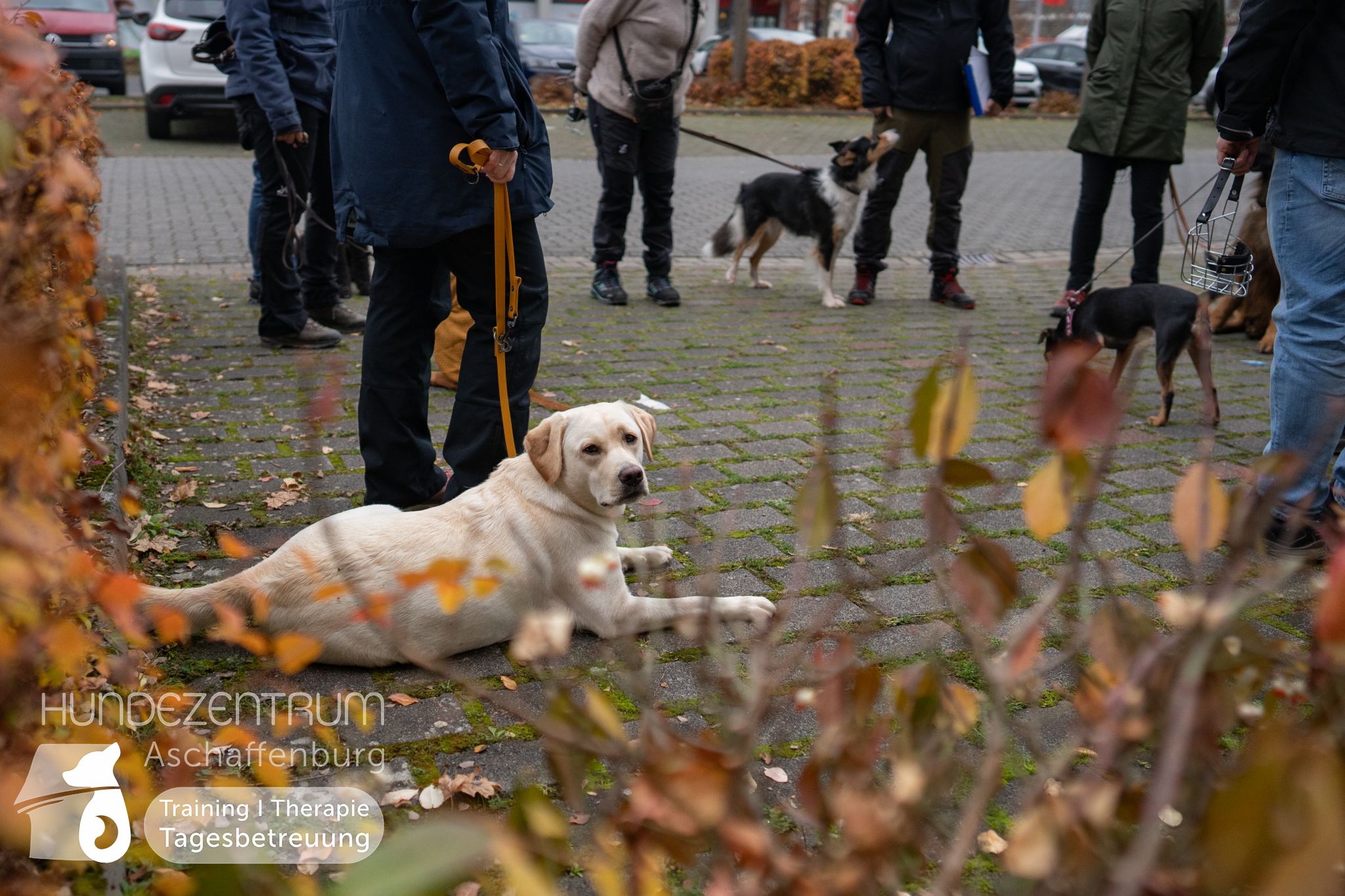 Hufü-24-11-009