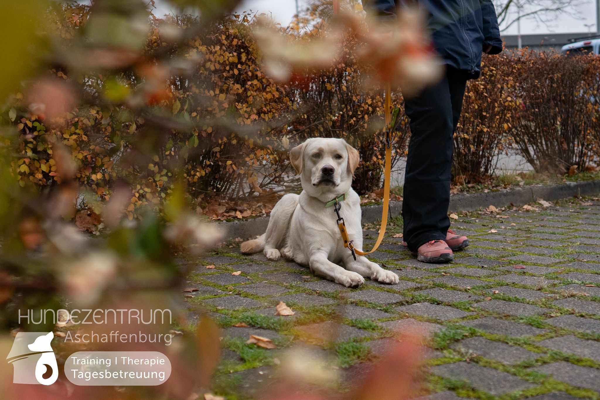 Hufü-24-11-010